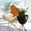 Butterfly Chair Goat leather - Image 4