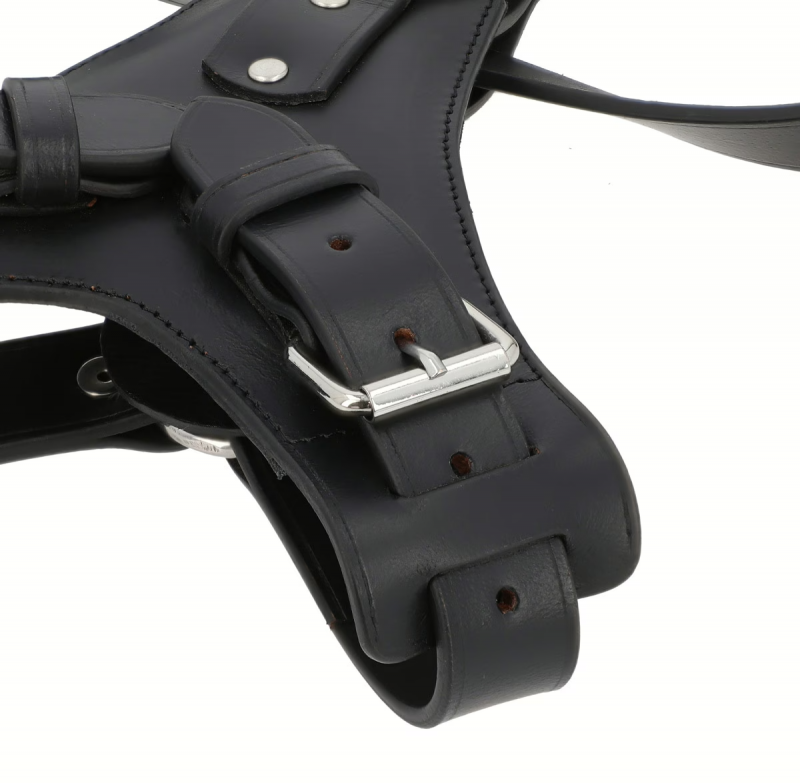 Premium Black Leather Dog Chest Harness - Image 2