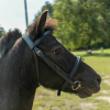 Premium Black Leather English Snaffle Bridle