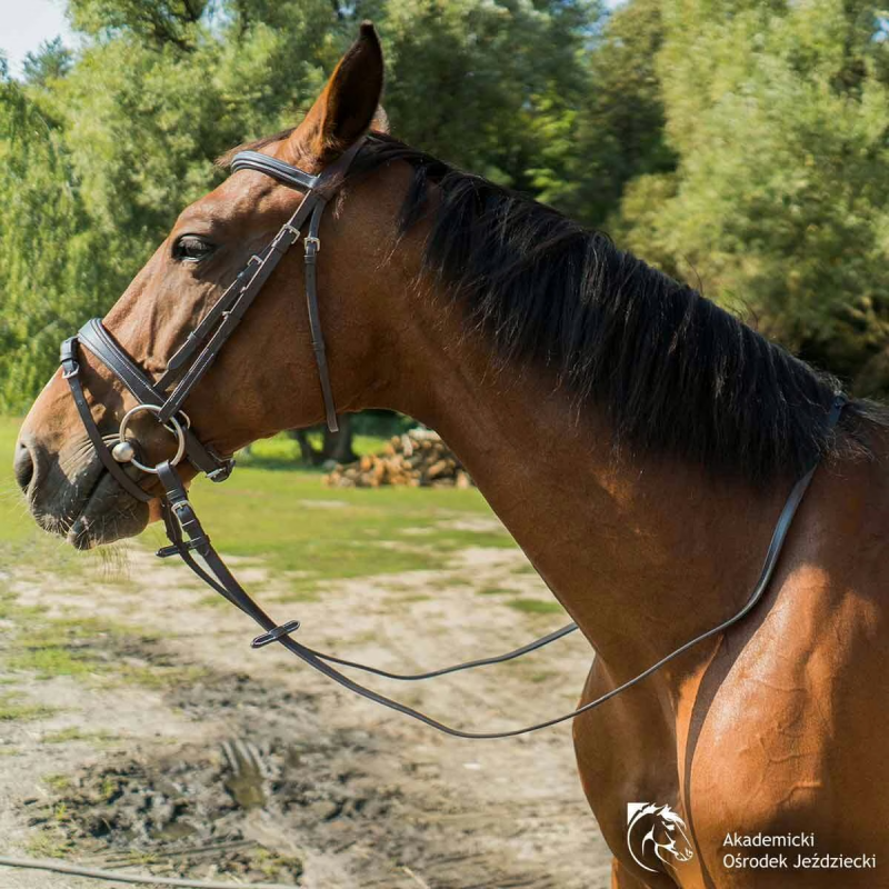 Premium Brown Leather Bridle Loop Reins