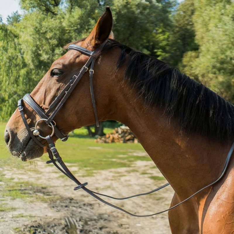 Premium Brown Leather Bridle Loop Reins