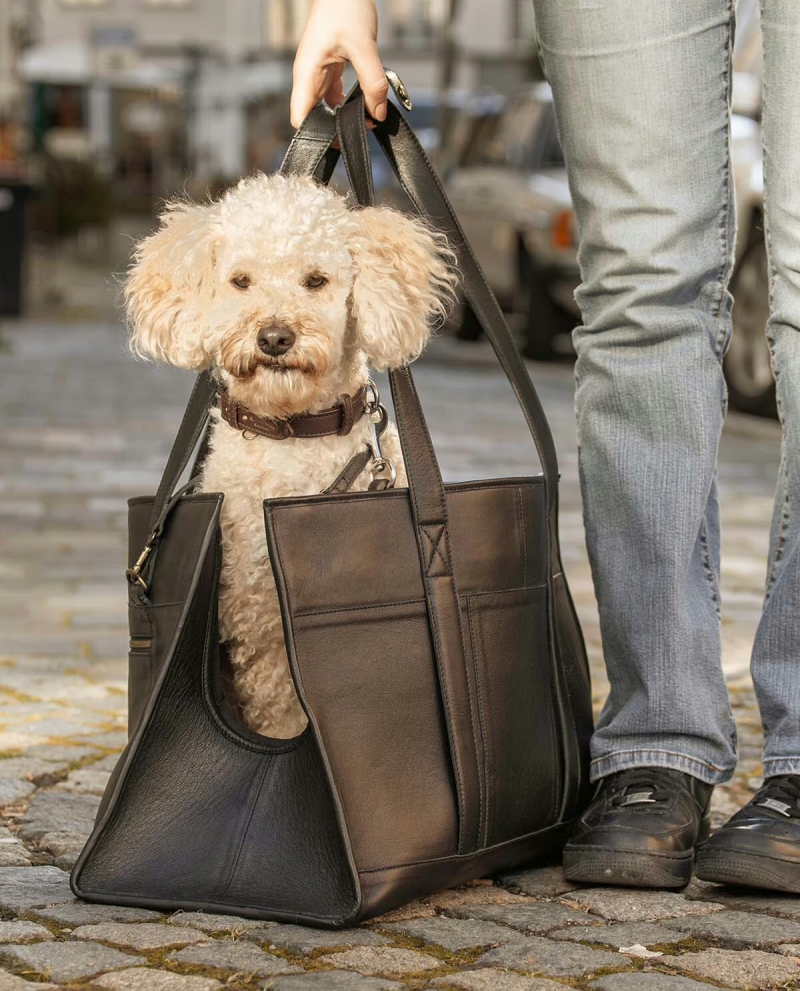 Premium Black Leather Pet Carrier Bag