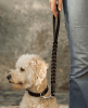 Premium Leather Traffic Dog Leash – Short Control Lead