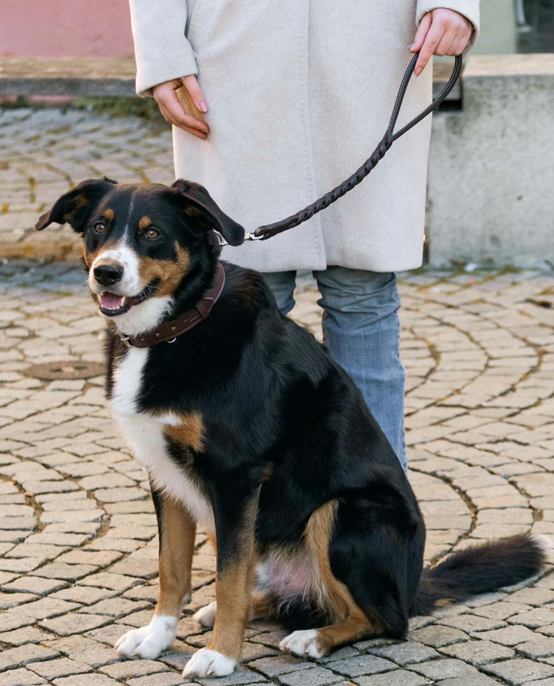 Premium Leather Traffic Dog Leash – Short Control Lead - Image 7